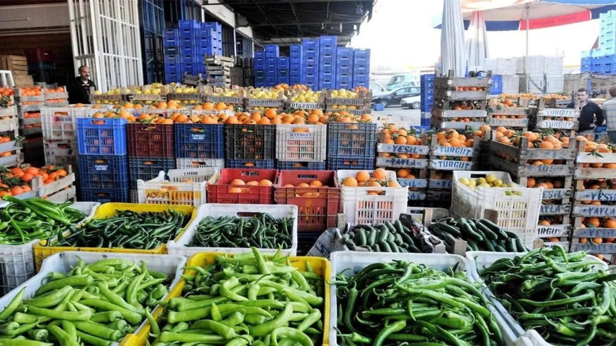 Kahramanmaraş Hal Fiyatları Mart 2026 Listesi Açıklandı: Avokado Zirvede, Patates Dipte