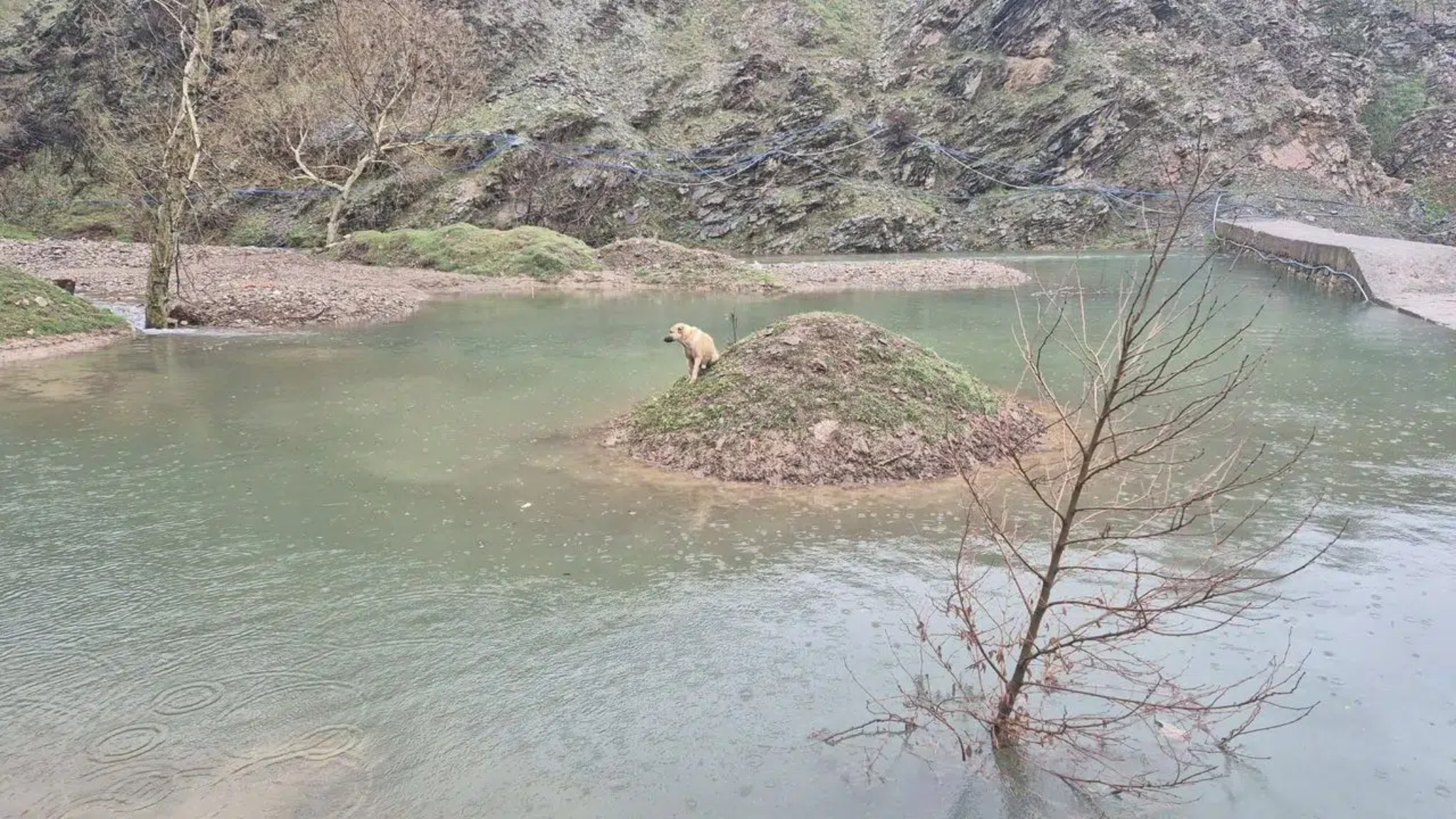 Kahramanmaraş’ta Su Birikintisinde Mahsur Kalan Köpek Kurtarıldı