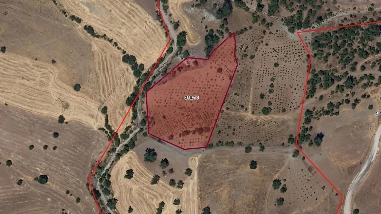 Pazarcık’ta 8.344 m² Tarımsal Arazi İcradan Satışta