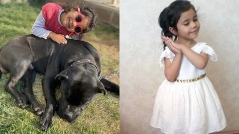 Pitbull Saldırısı Davasında Karar Açıklandı