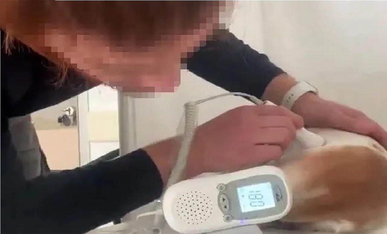 Kahramanmaraş'ta ASM'de Köpek Tedavi Eden Doktorun Paylaşımları Tepki Çekti