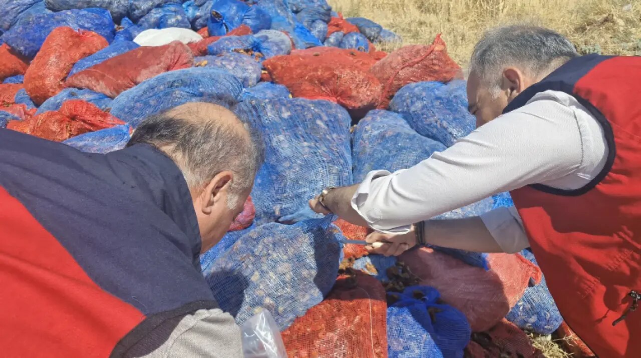Kahramanmaraş'ta Gıda Vurgunu Önlendi! Tonlarca Domates Kurusu İmha Edildi