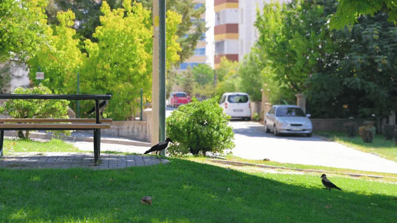 Kahramanmaraş’ta Parka Gelenler Gözlerine İnanamadı